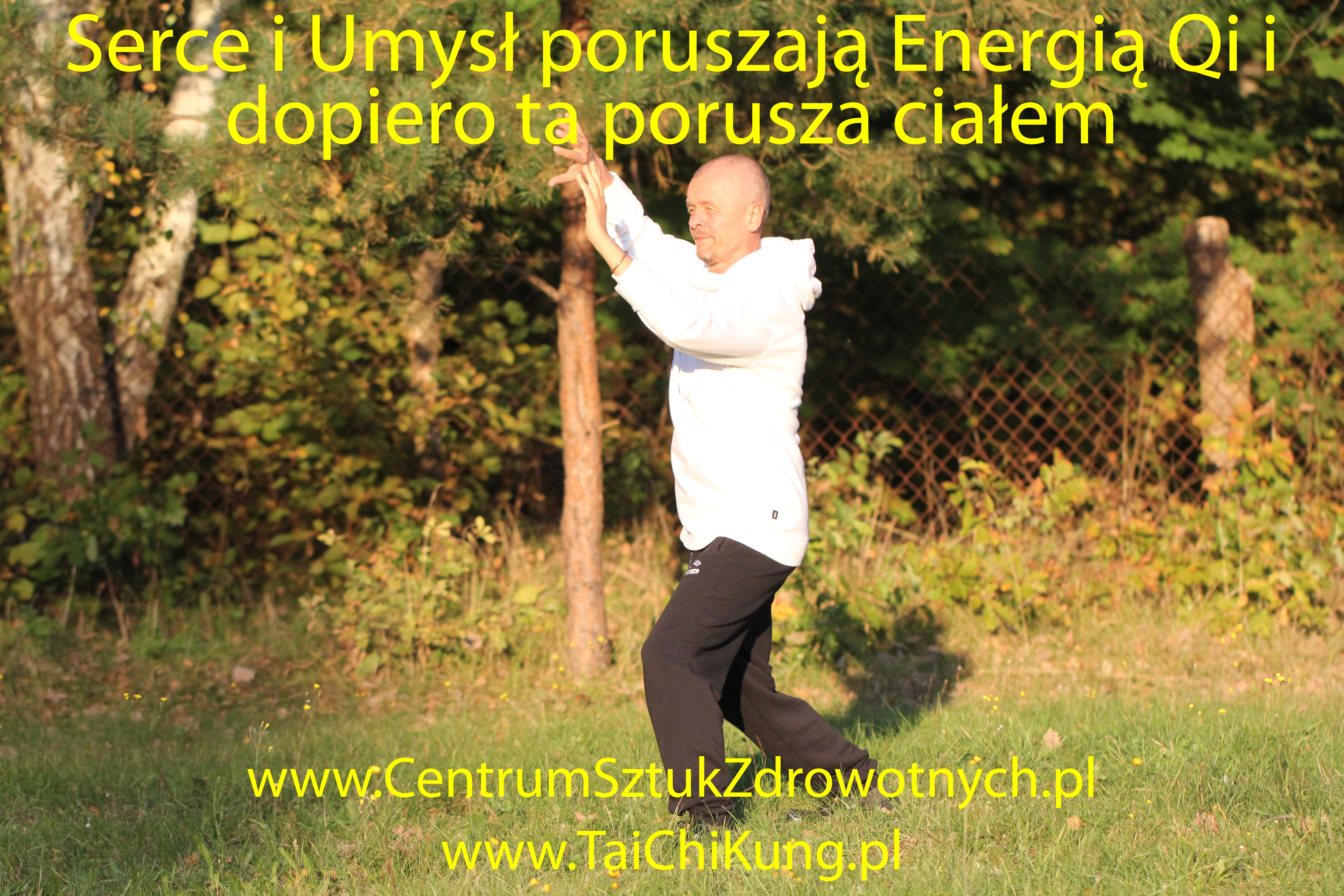 Chi Kung, Tai Chi, Qigong, Warszawa - Myśl porusza Energię Qi, a ta dopiero porusza ciało MEM.jpg